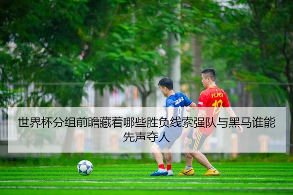 shi-jie-bei-fen-zu-qian-zhan-cang-zhe-na-xie-sheng-fu-xian-suo-qiang-dui-yu-hei-ma-shui-neng-xian-sheng-duo-ren-2-804.jpg